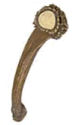 Wilderness Treasures collections.