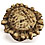 Wilderness Treasures collections.